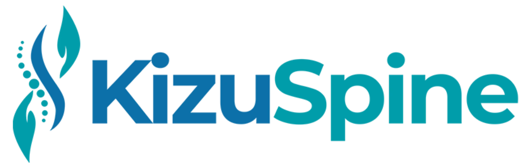 Kizu Spine Support Brace